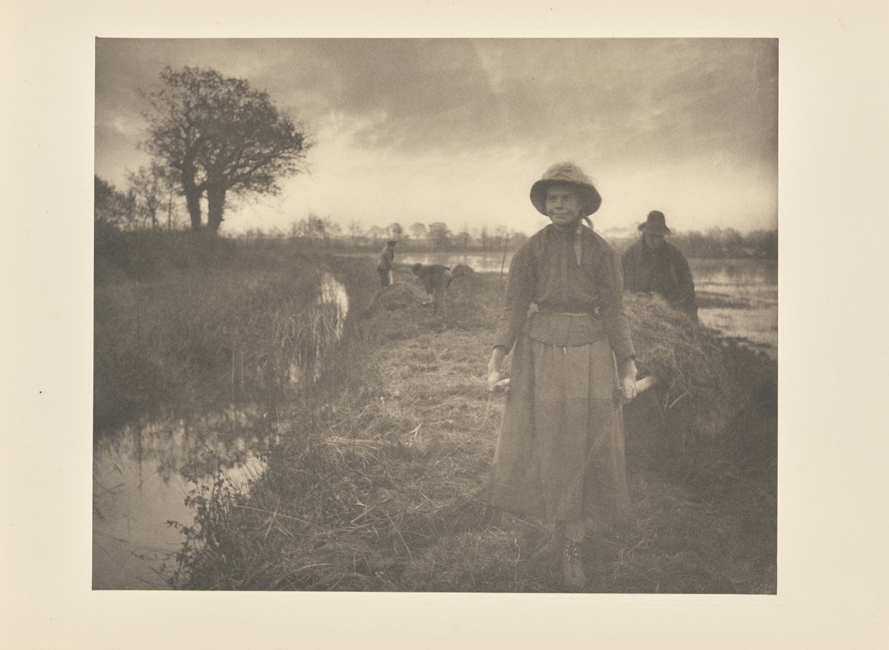 Höskörd i sankmarken av Peter Henry Emerson
