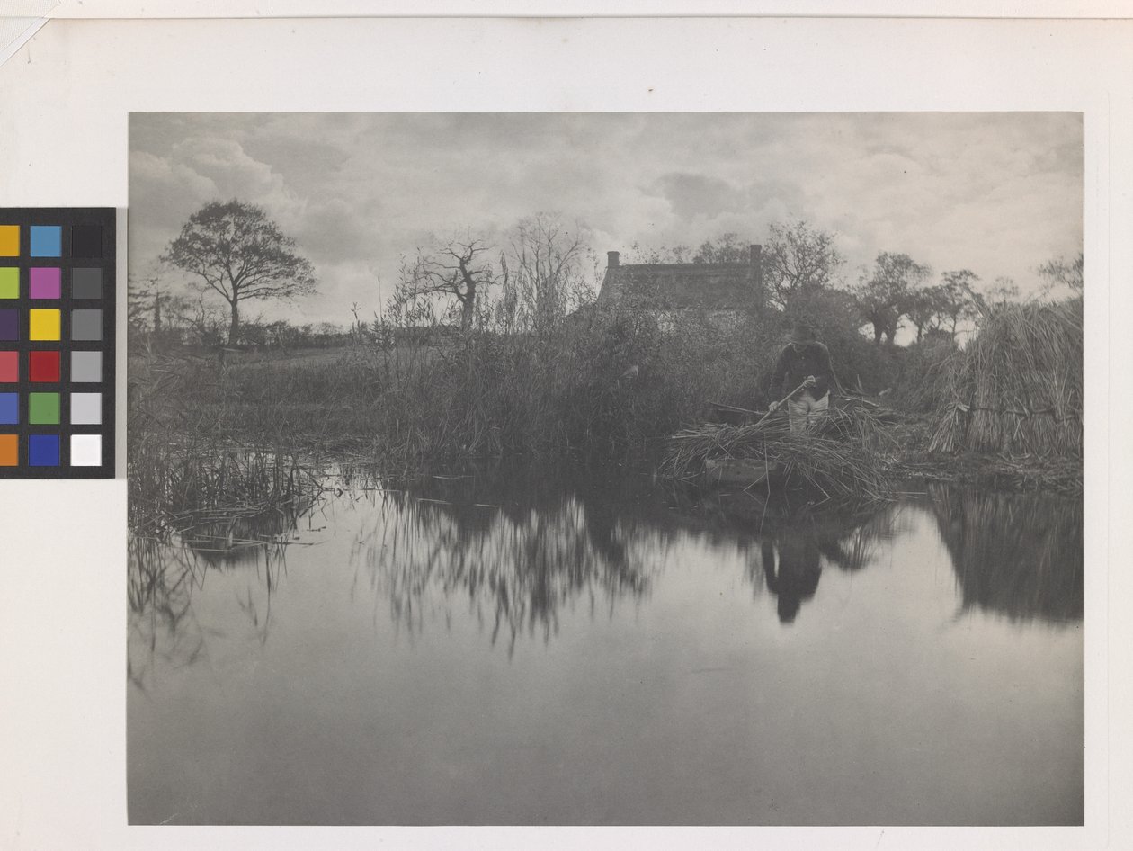 Quanting The Gladdon (platinatryck på originalfäste) av Peter Henry Emerson