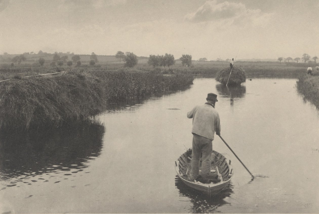 Kvantifiering av myrhö,1886 (foto) av Peter Henry Emerson