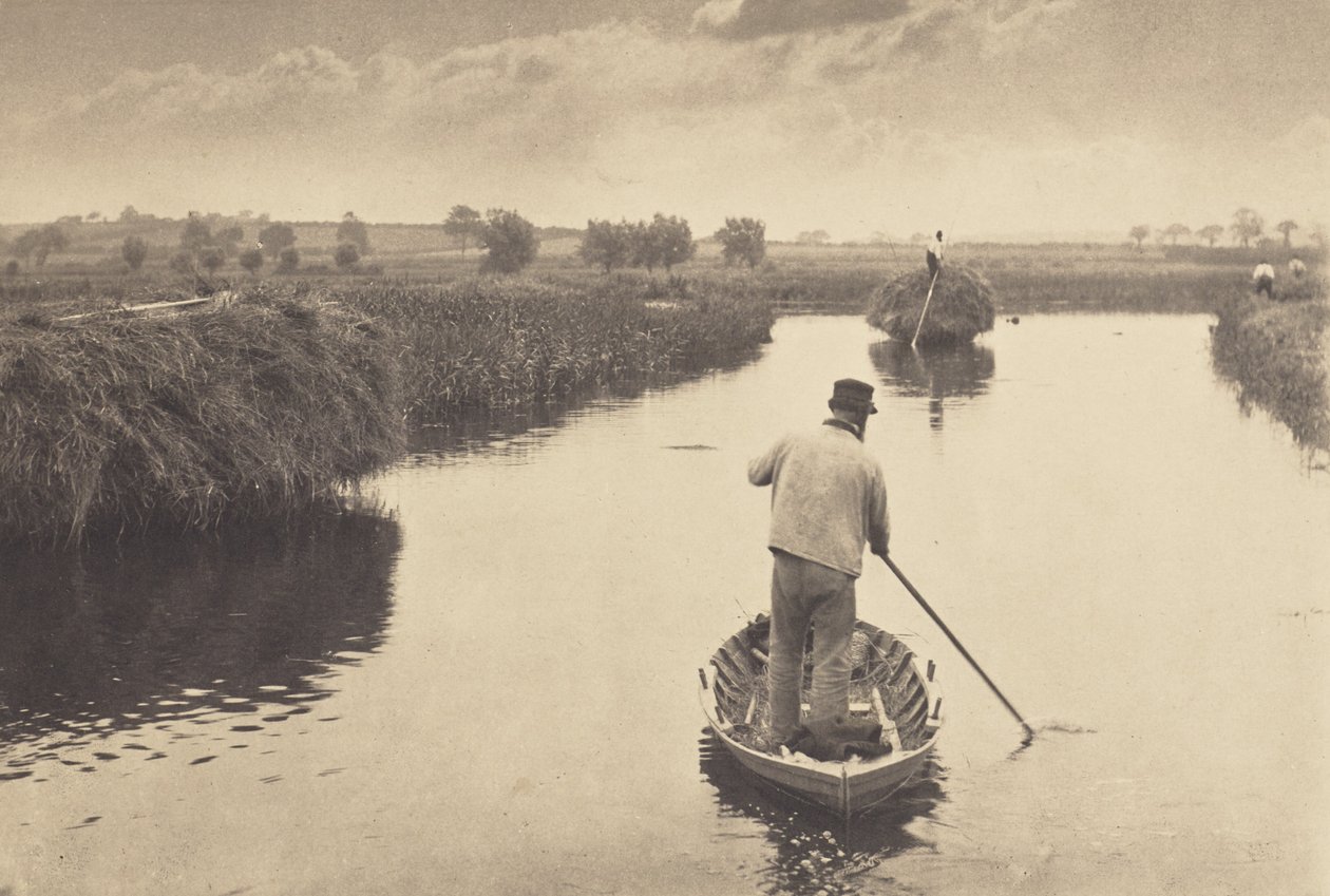 Mätning av höet från träsket av Peter Henry Emerson