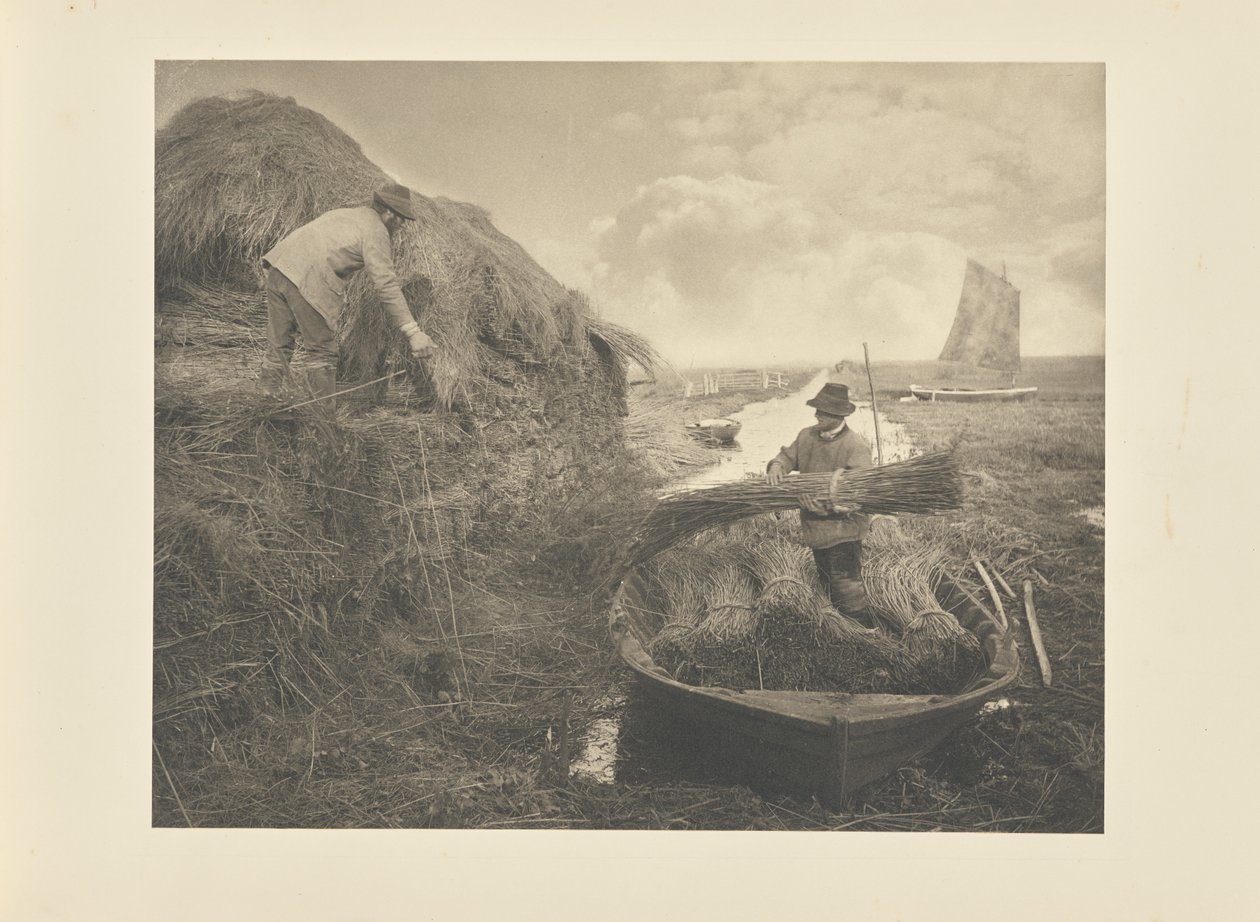 Stapling av vass av Peter Henry Emerson