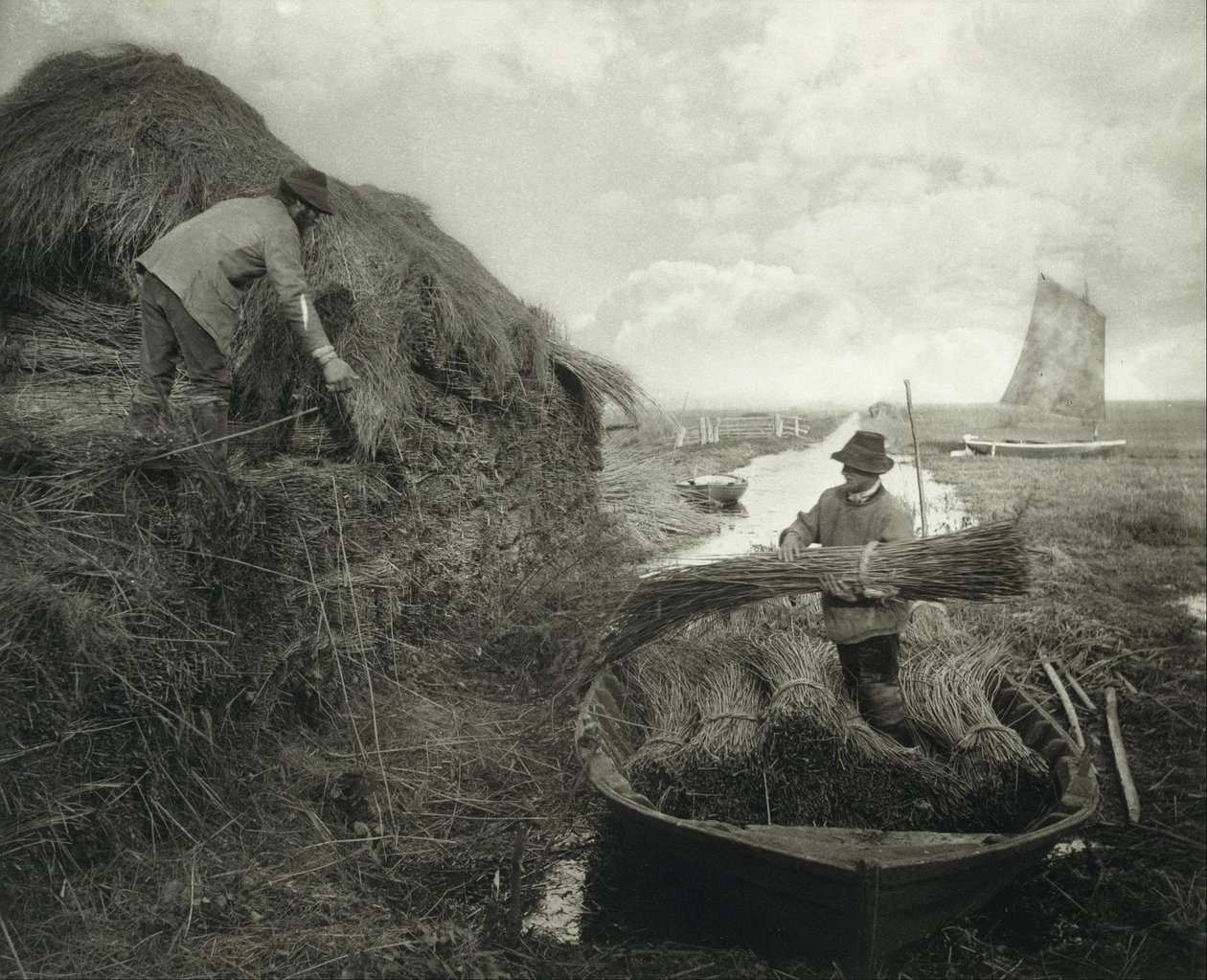 Stapling av vass av Peter Henry Emerson