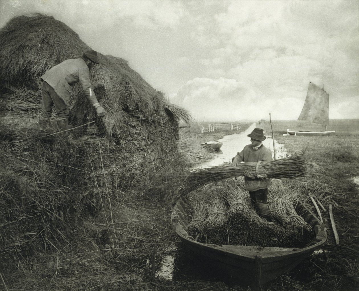 Ricking the Reed, ca 1885 (platinatryck) av Peter Henry Emerson