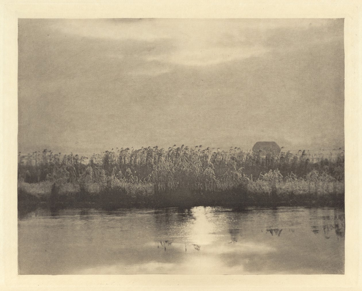 Rime Crystals,i eller före 1895 (foto) av Peter Henry Emerson