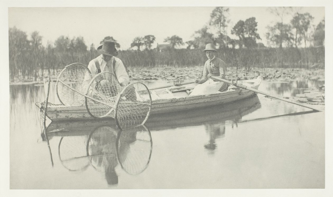 Inställning av bognätet av Peter Henry Emerson