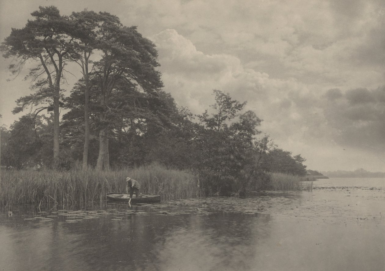 The Haunt of the Pike,1887 (foto) av Peter Henry Emerson