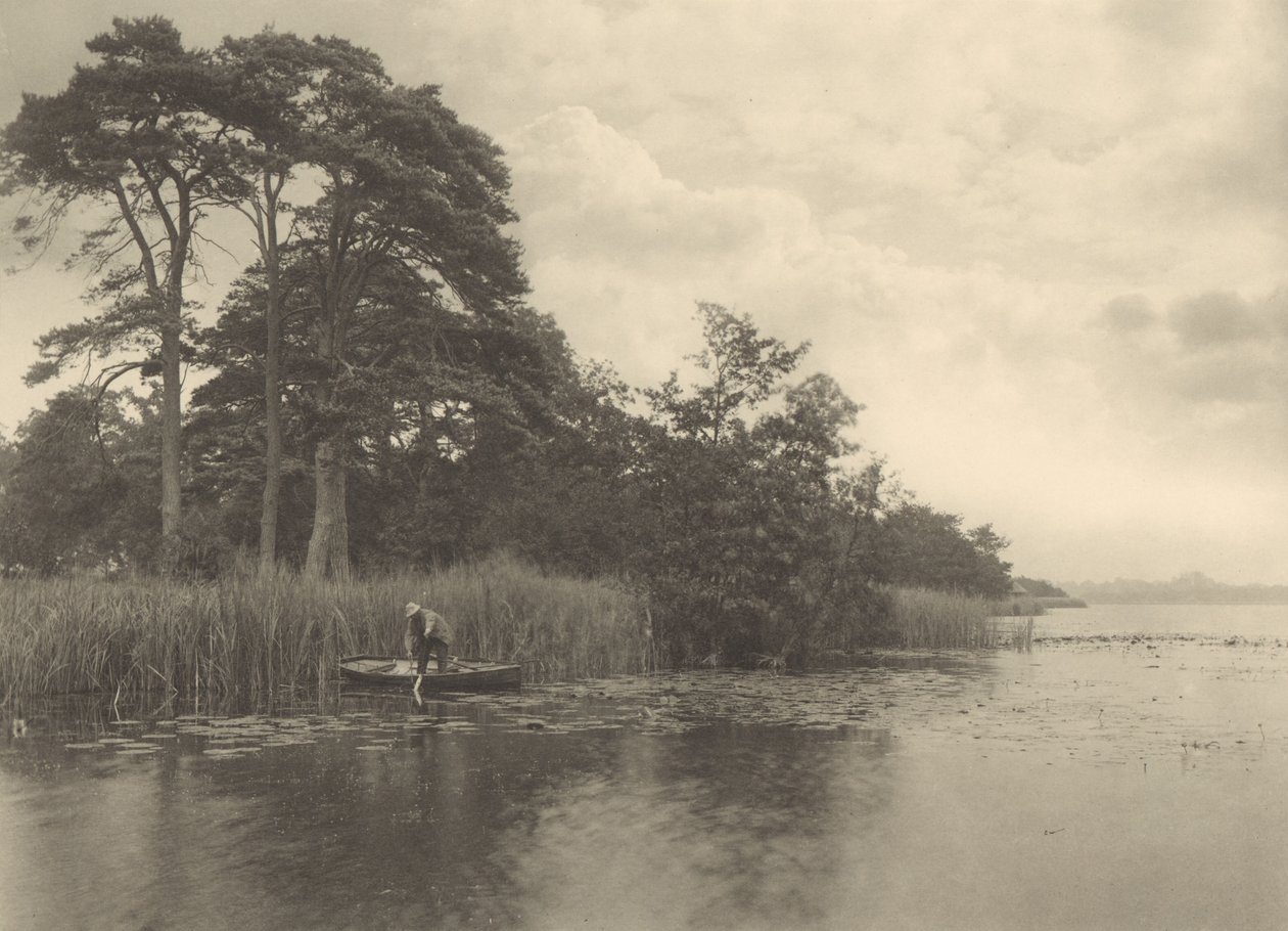 Gäddans tillhåll av Peter Henry Emerson