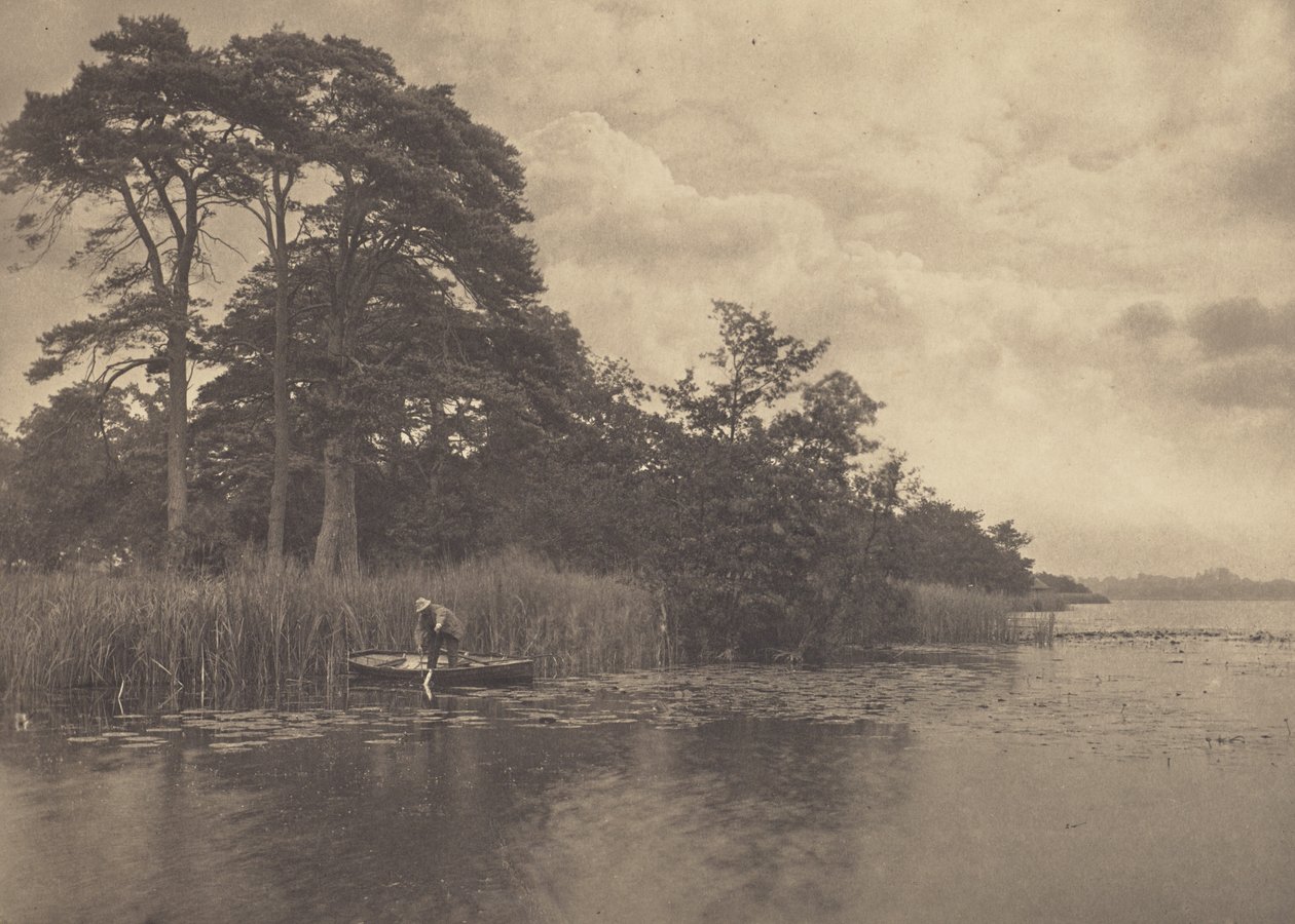 Gäddans tillhåll av Peter Henry Emerson