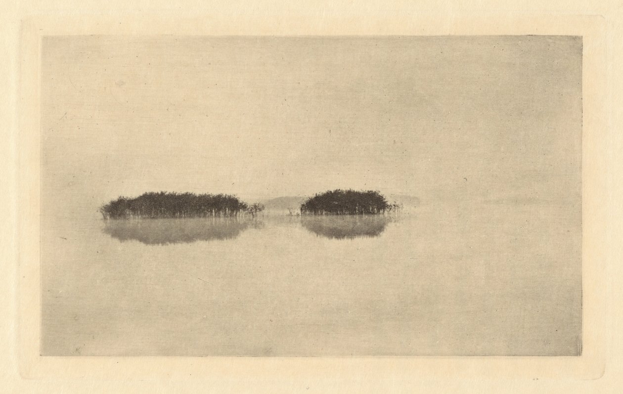 The Lone Lagoon, 1895 eller före 1895. av Peter Henry Emerson
