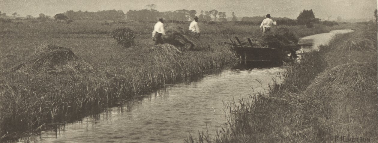 Sävskörden av Peter Henry Emerson