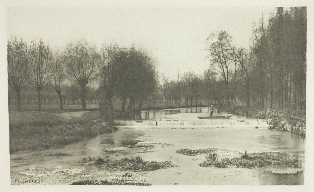 The Shoot, Amwell Magna Fishery av Peter Henry Emerson