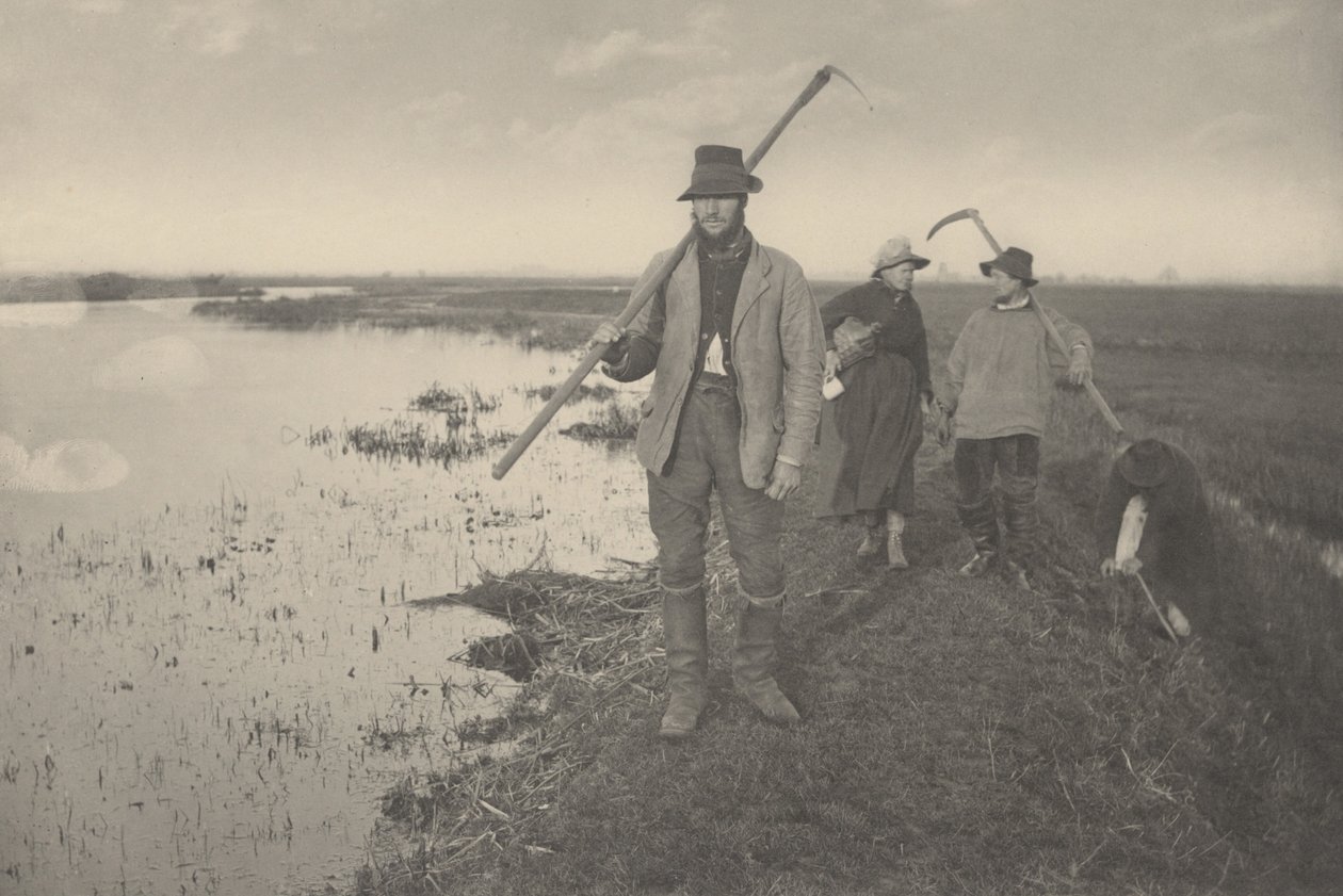 Kommer hem från myrarna av Peter Henry Emerson and T.F. Goodall