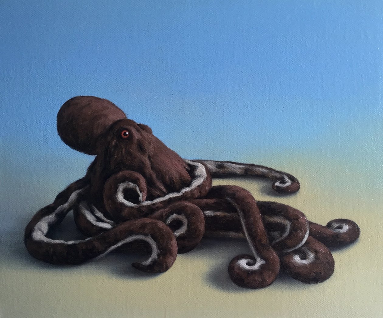 Octopus, 2016 av Peter Jones