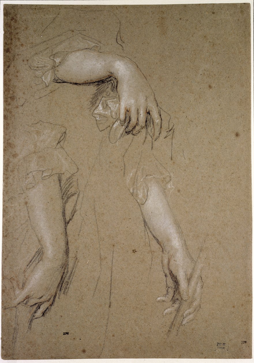 Studies of Hands, 1600-talet (krita på papper) av Peter Lely