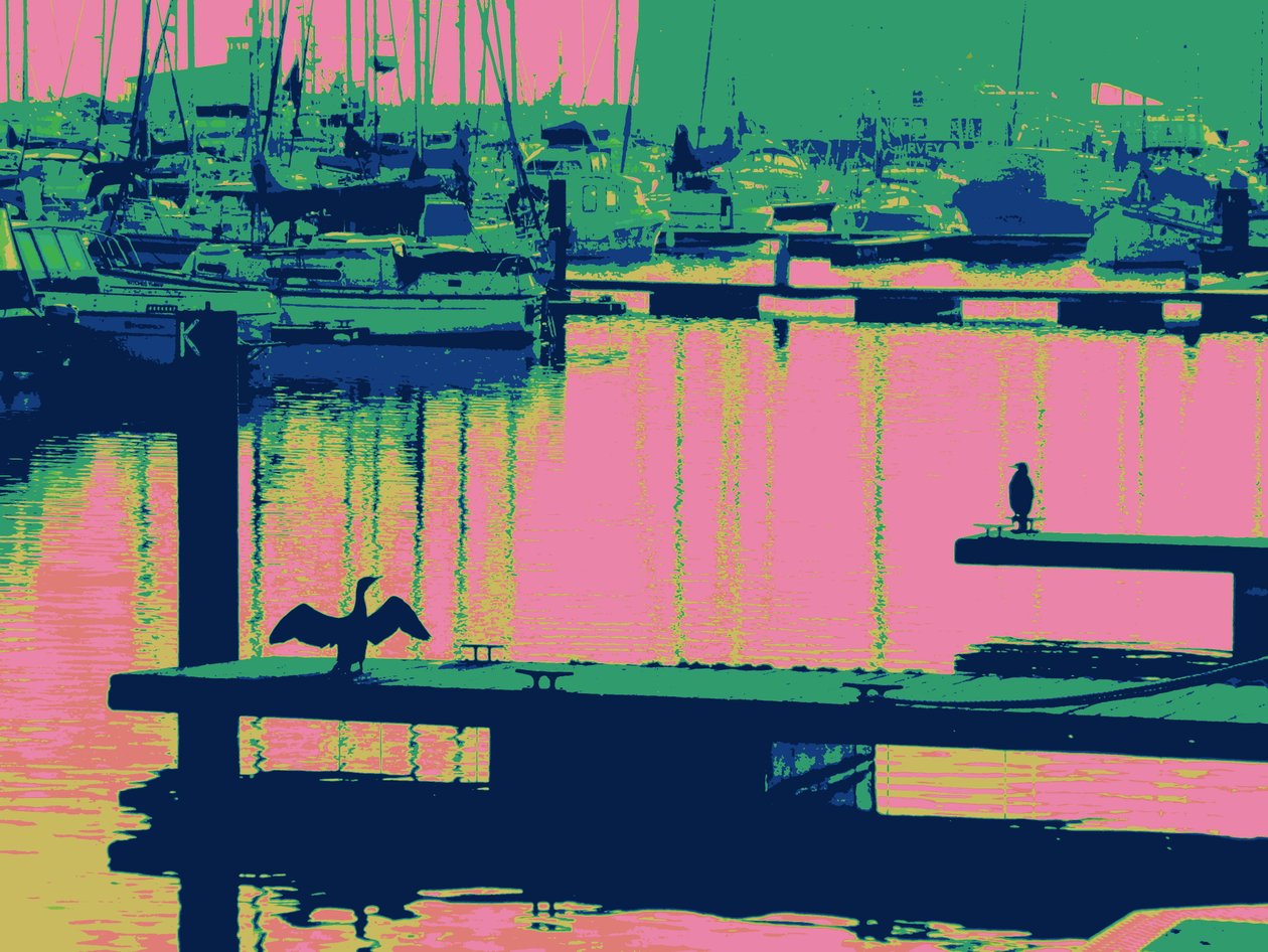 COURT-SHIP HARTLEPOOL, 2014, (digitalt förbättrat foto) av Peter McClure