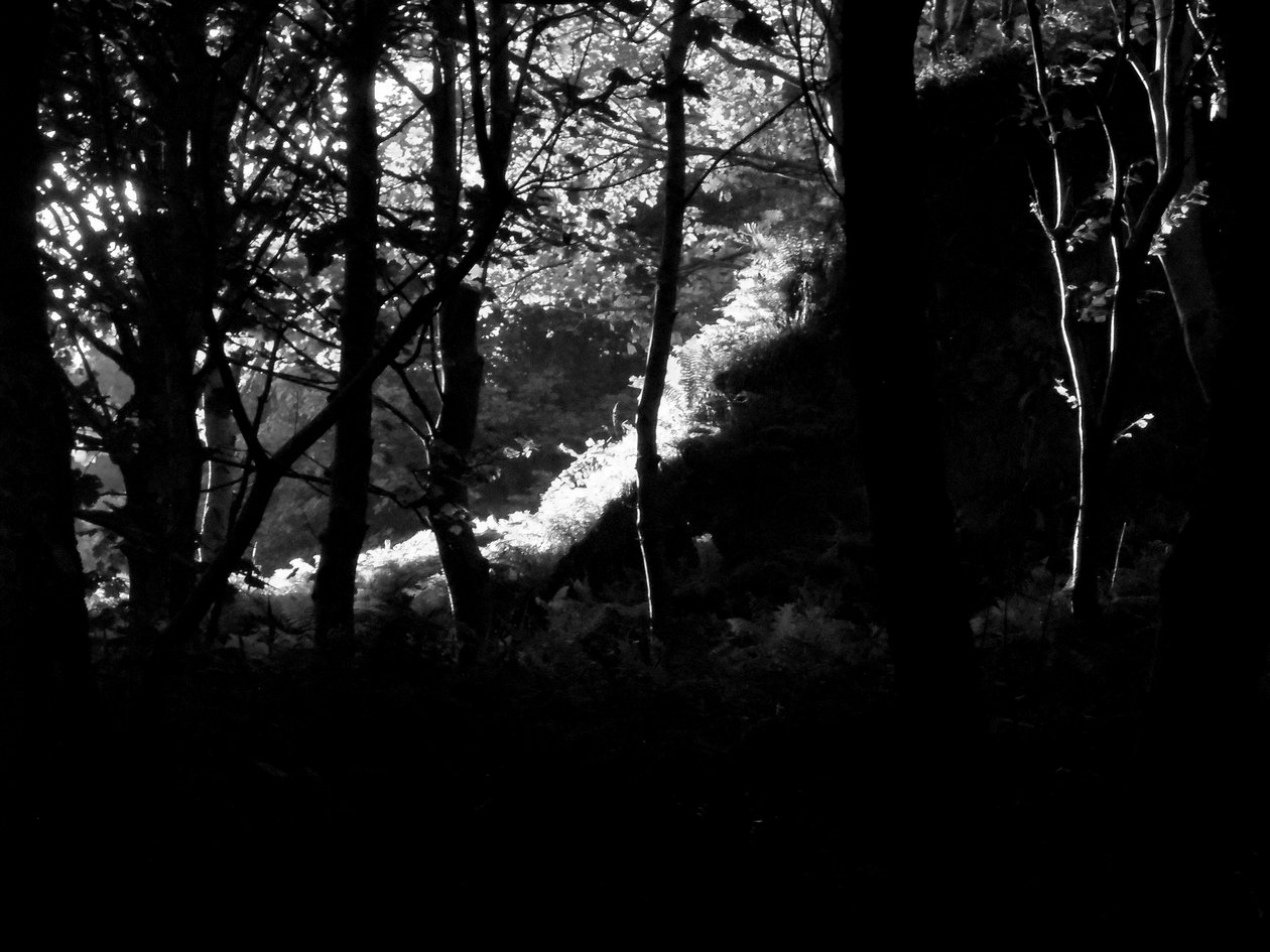 KINTYRE... PLUS. 17 av Peter McClure