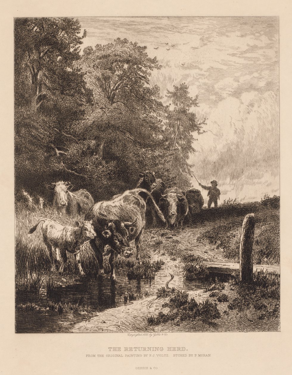 Den återvändande flocken, ca. 1885. av Peter Moran