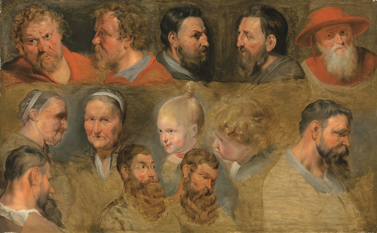 Huvudstudier (olja på panel) av Peter Paul (circle of) Rubens