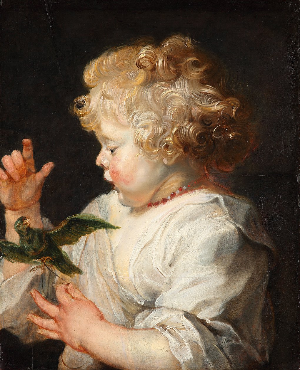 Tyska: Porträtt av ett barn med fågel Ett barn med fågel av Peter Paul Rubens