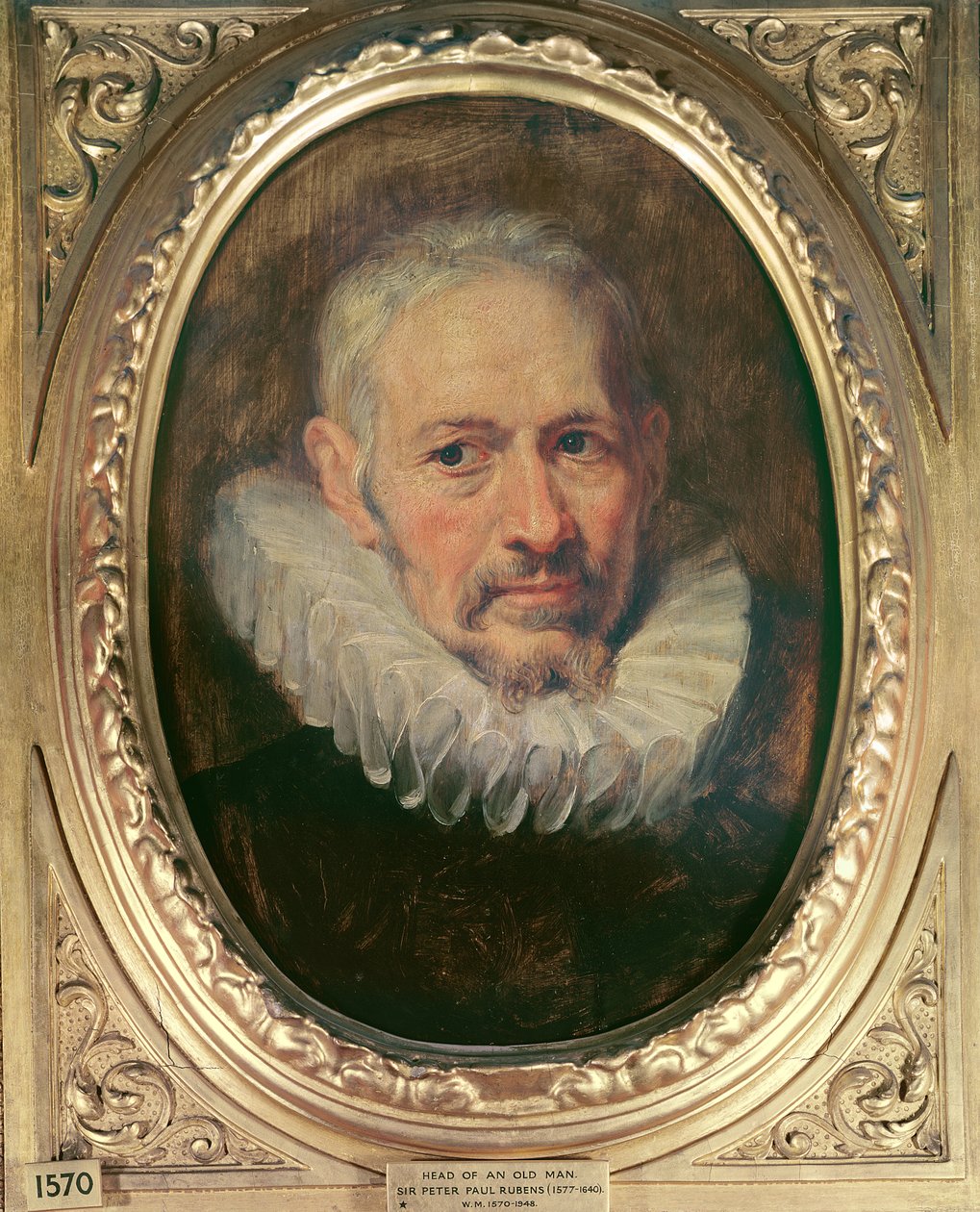 Head of an Old Man (olja på duk) av Peter Paul Rubens