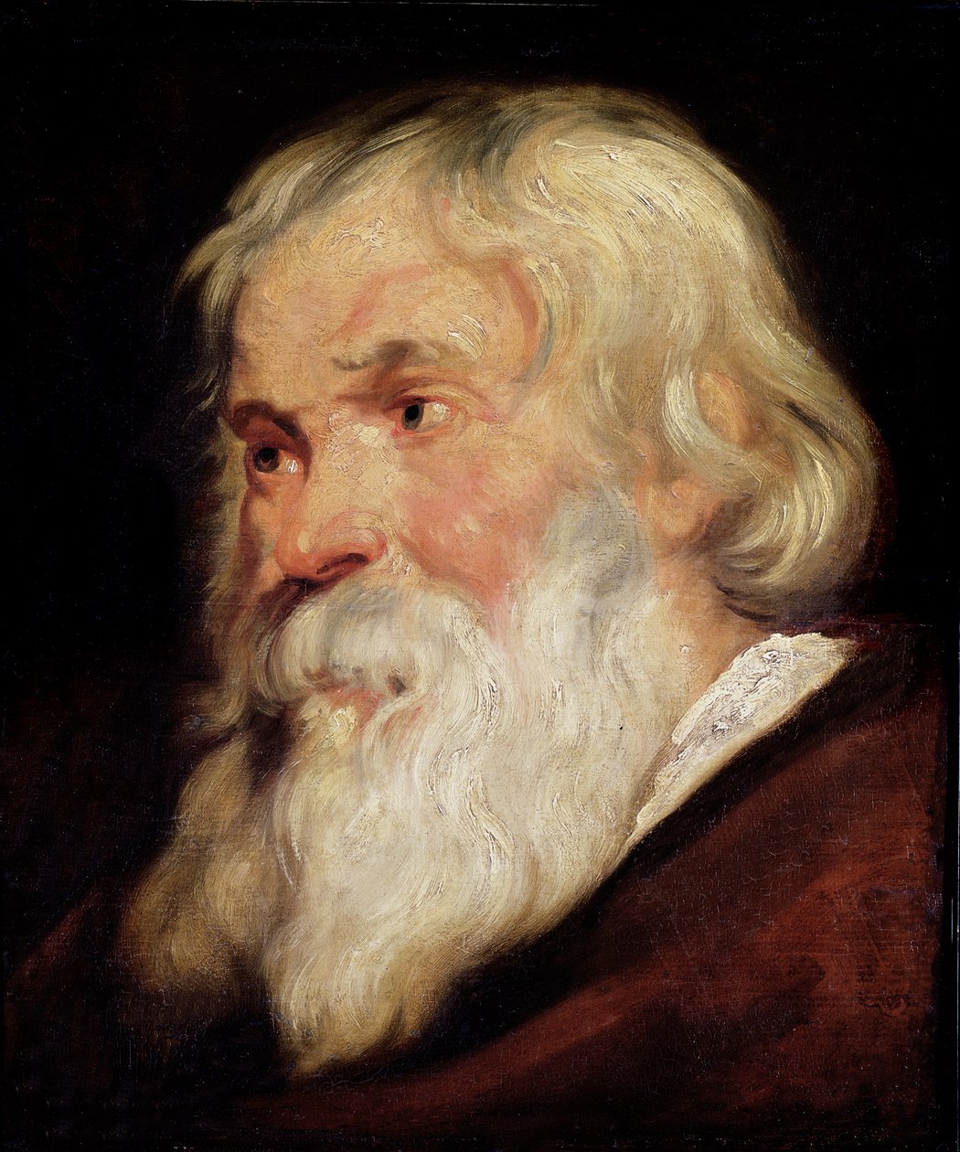 En gammal mans huvud av Peter Paul Rubens