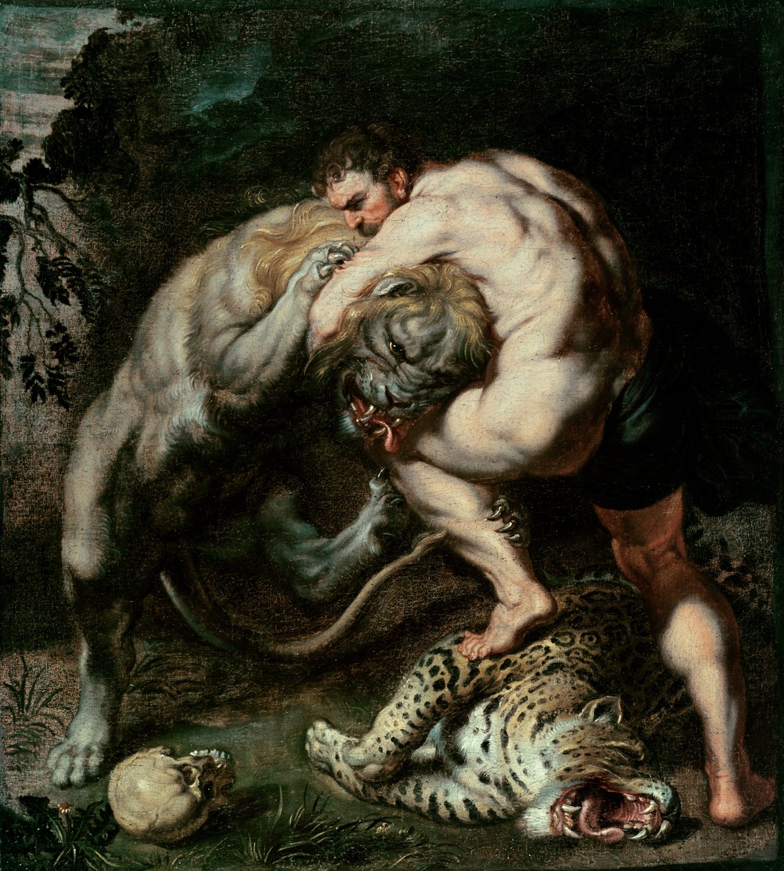 O Hercules o loo tau ma le Leona Nemean av Peter Paul Rubens