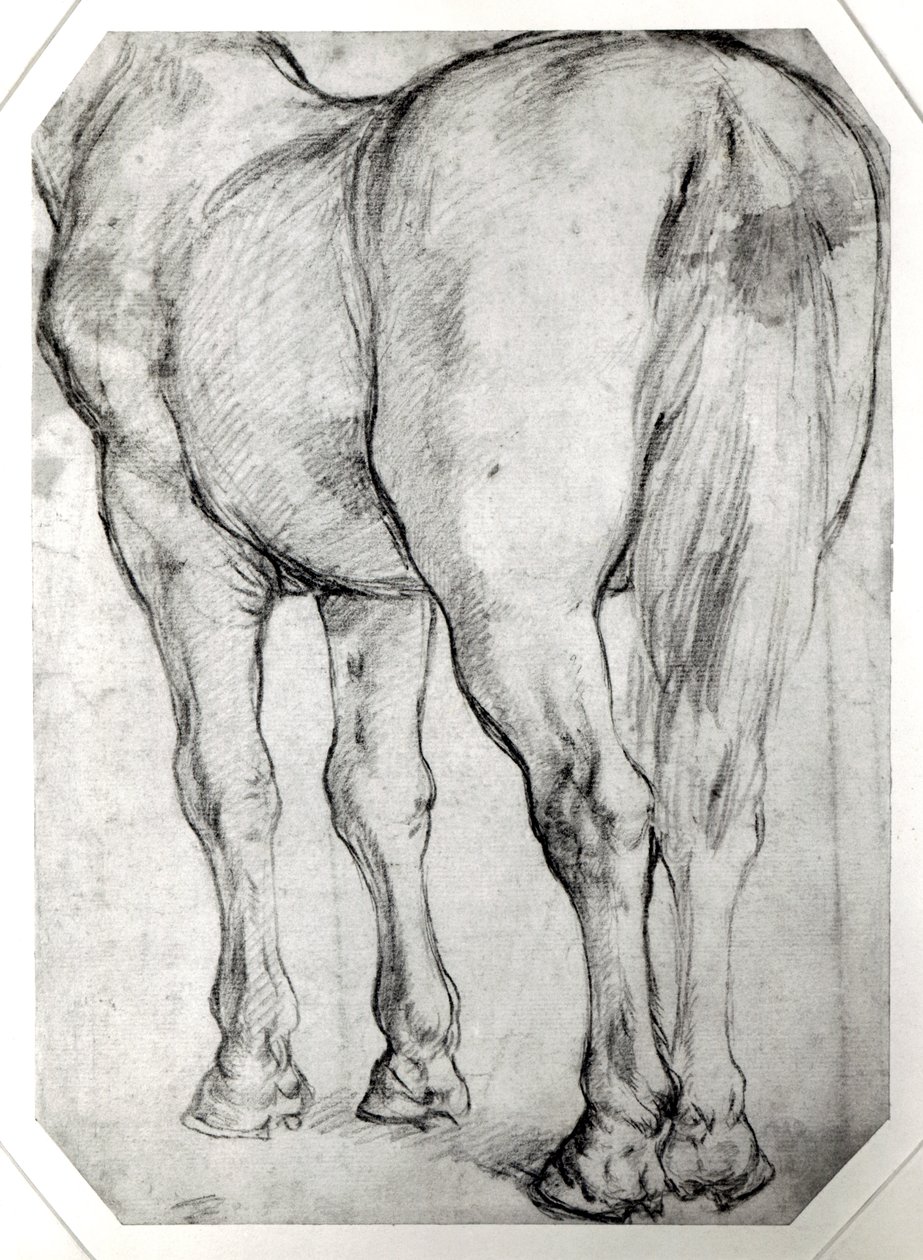 Hästens rygg av Peter Paul Rubens