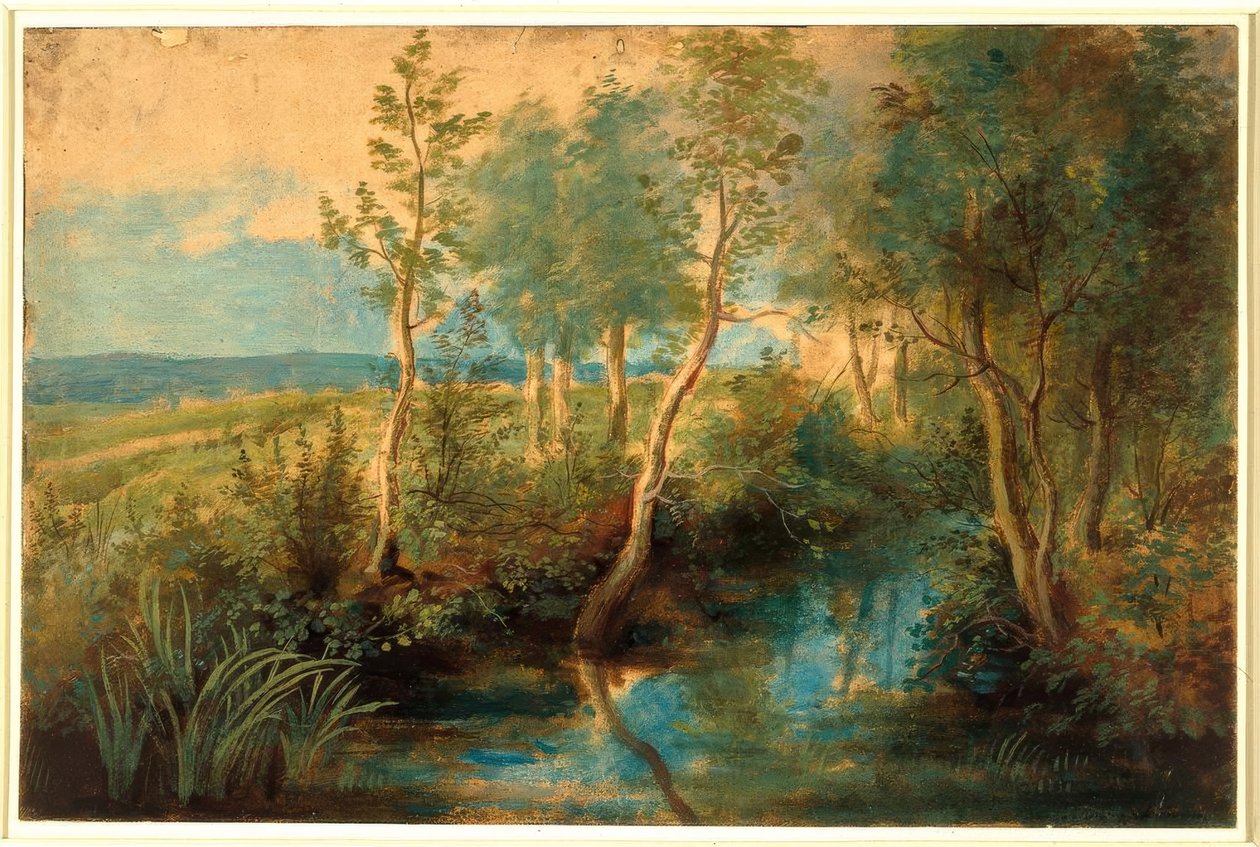 Landskap med bäck överhängd av träd av Peter Paul Rubens