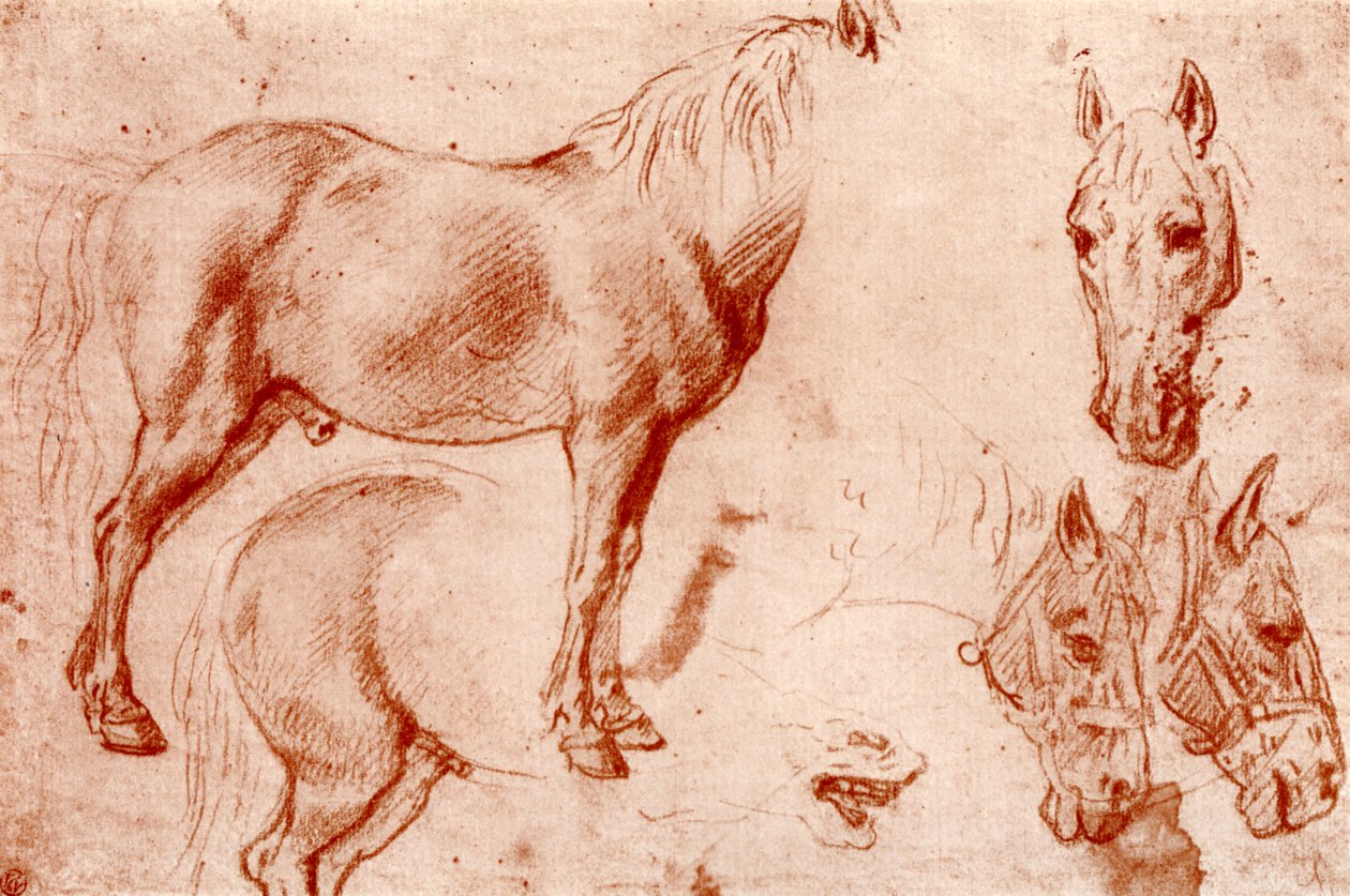 Studier av hästar, 1913. av Peter Paul Rubens