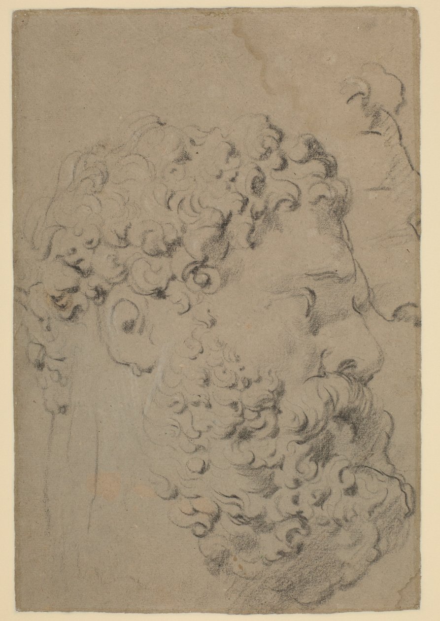 Studier av farnese Hercules huvud och profil sett från en lägre synvinkel av Peter Paul Rubens
