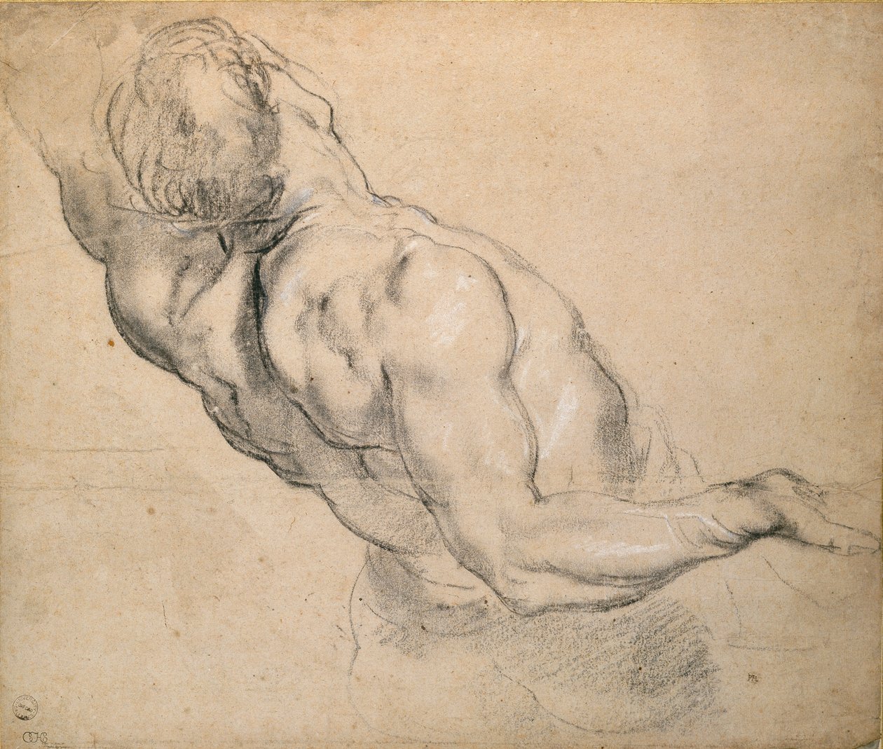 Studie av en naken man i Torso, 1600-1640 av Peter Paul Rubens