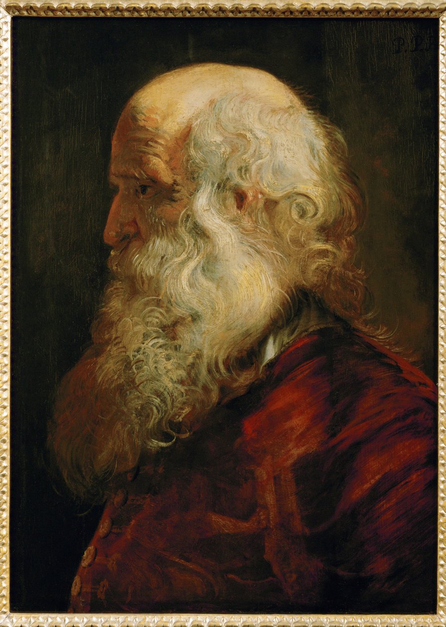 Studie av en gammal man, ca 1610 (målning på ek) av Peter Paul Rubens