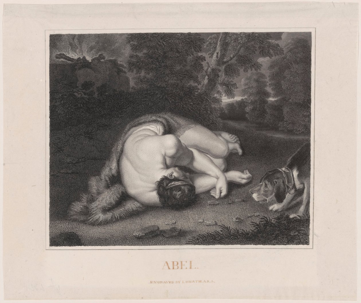 Abels död av Peter Paul Rubens