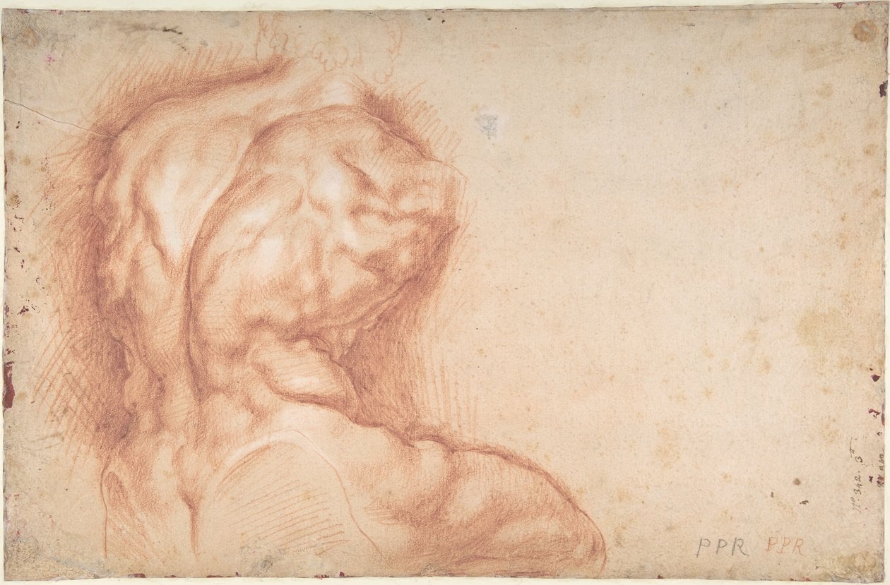 Jungfrun tillbedd av helgon (framsida); Studie av Belvederetorson (baksida) av Peter Paul Rubens