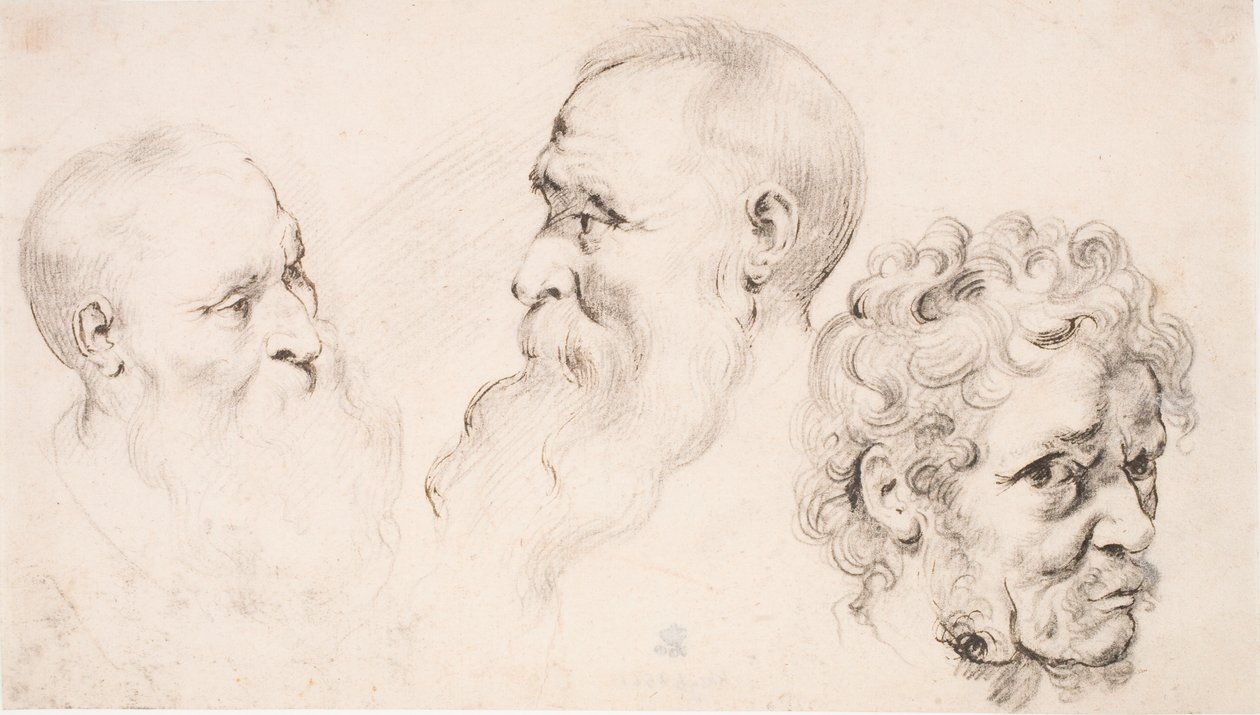 Tre manshuvuden av Peter Paul Rubens