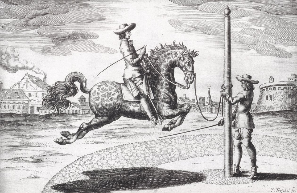 A Horse en Capriole från New Treatise for Breeding Horses skriven av Winters, Stuterey och Reit-Schul, graverad av konstnären, pub. 1672 gravyr av Peter Paul Troschel