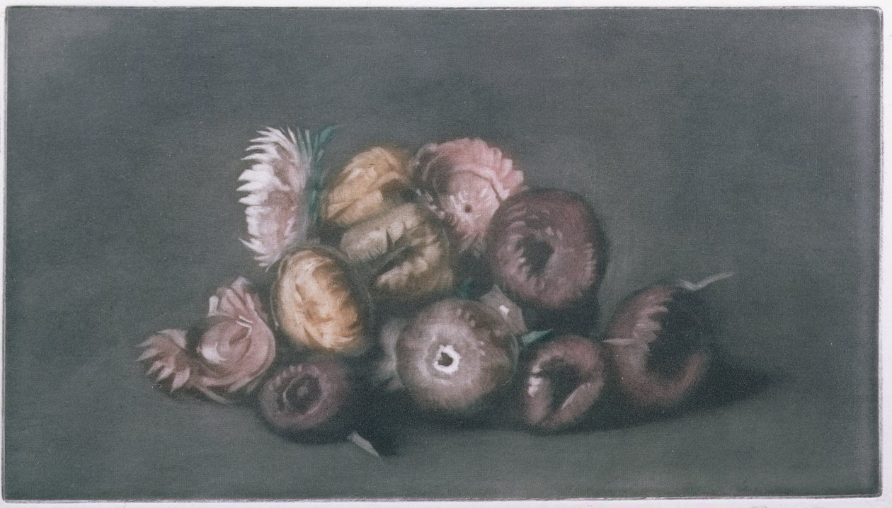 Stilleben av torkade blommor (färgad mezzotint) av Peter Vilhelm Ilsted