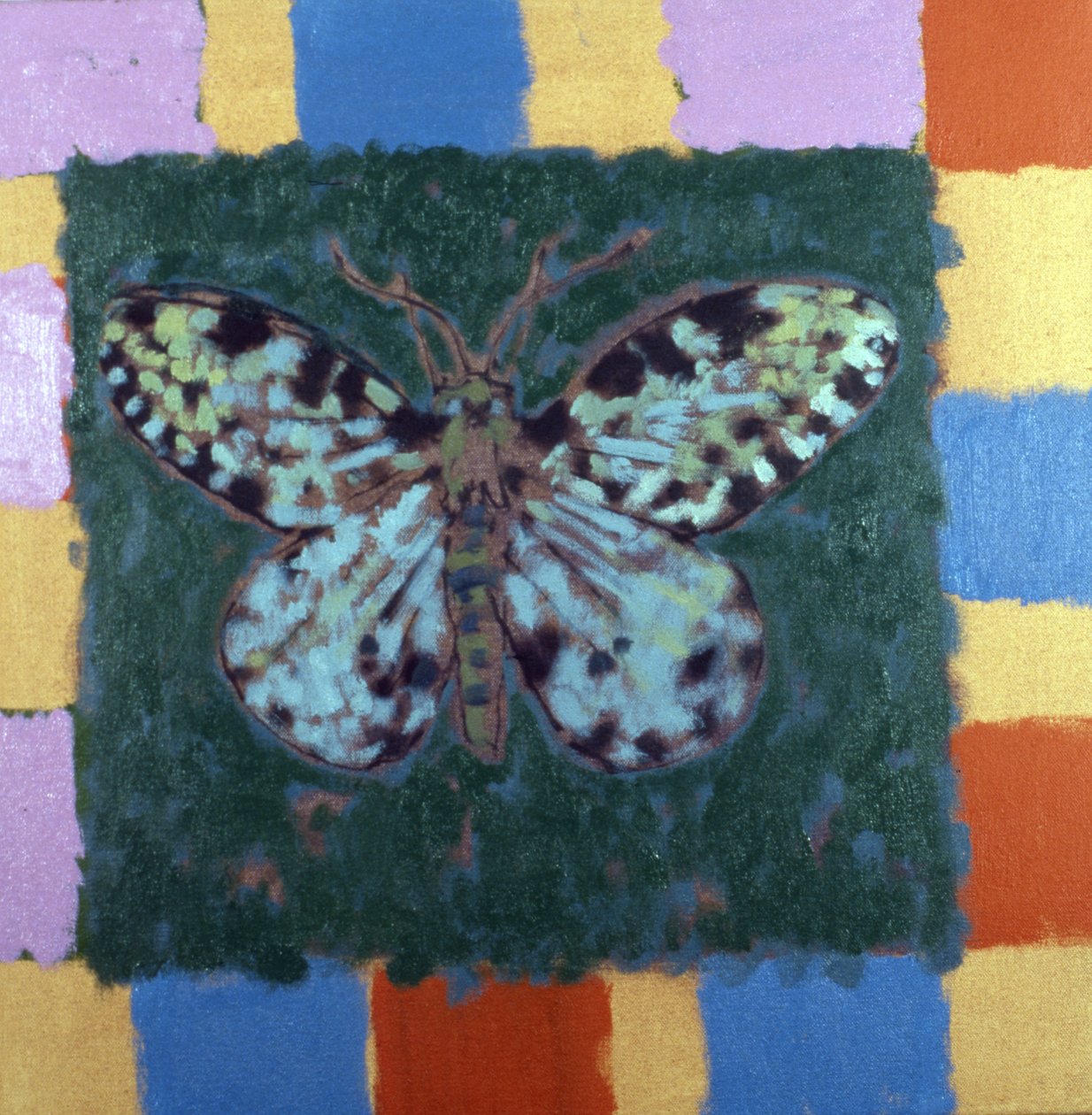 Leopardmott av Peter Wilson