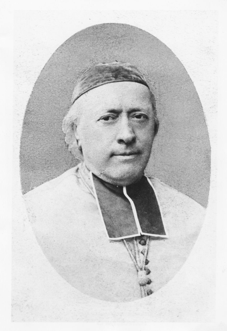 Porträtt av Charles-Emile Freppel av Petit