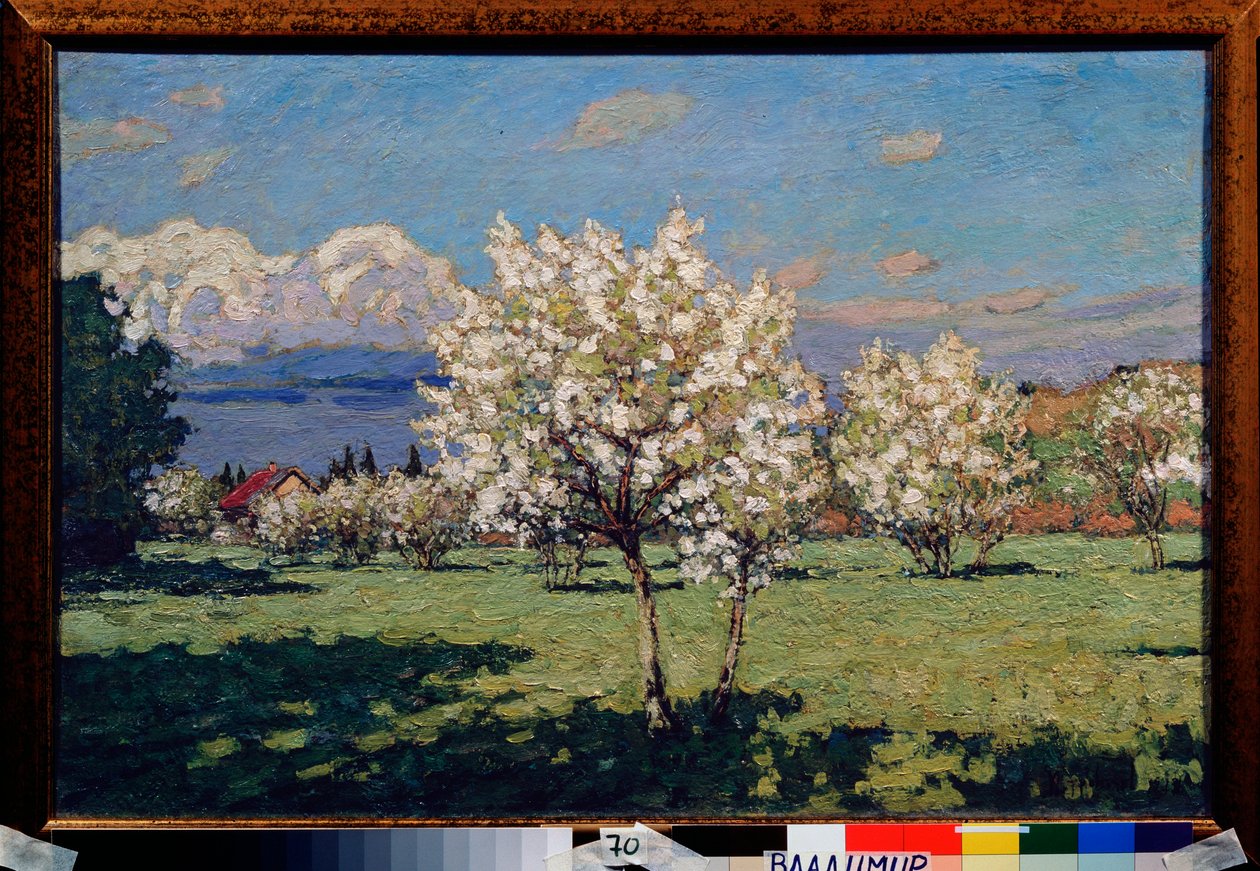 Körsbärsblommor. Målning av Pyotr Ivanovich Petrovichev (Pyotr Petrovichev) (1874-1947), olja på duk av Petr Ivanovic Petrovichev