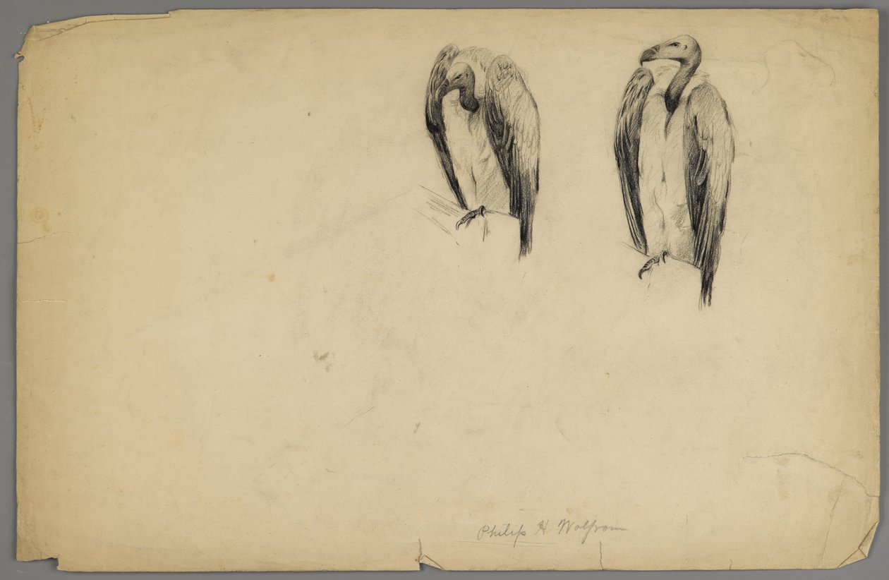 Gamar (kol på papper) av Philip H. Wolfrom