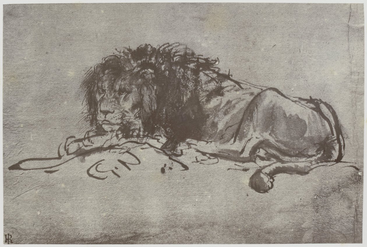 Rembrandt, ett lejon av Philip Henry Delamotte