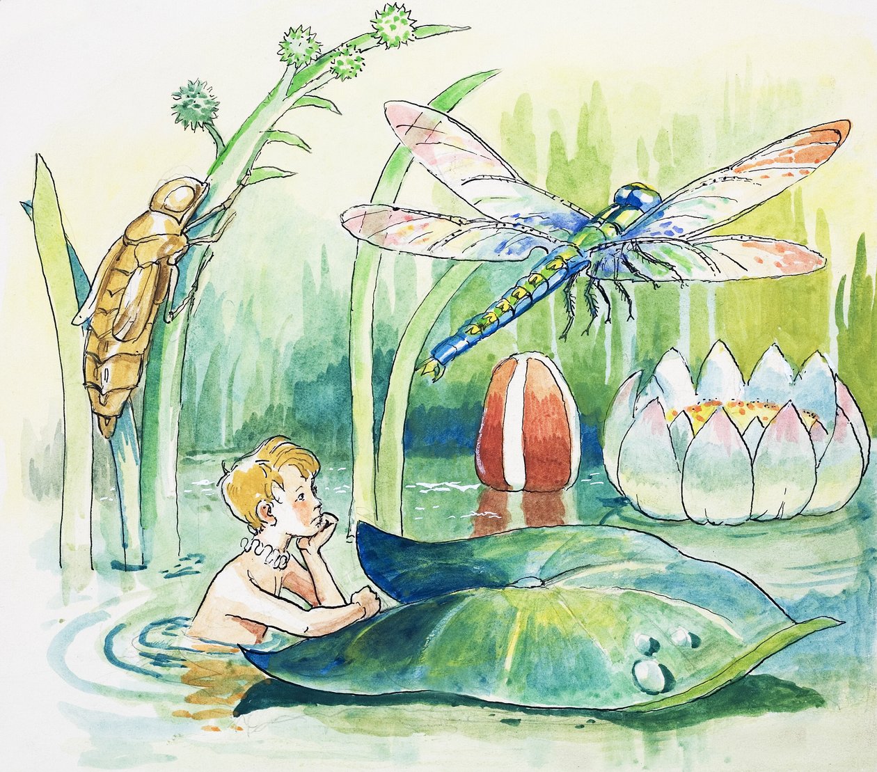 Trollslända, illustration från "The Water Babies" av Charles Kingsley av Philip Mendoza