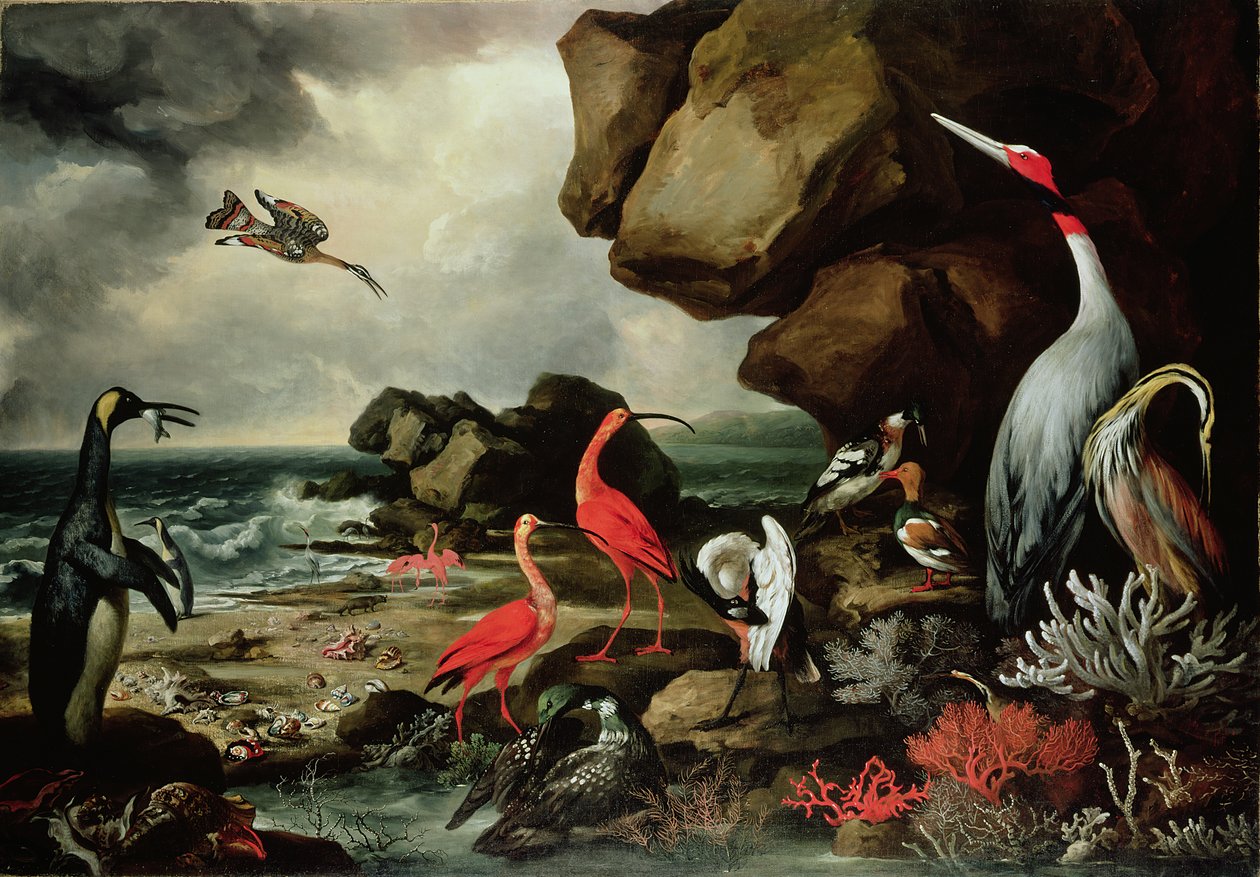 En pingvin, ett par flamingor och andra exotiska fåglar, snäckor och koraller vid kusten av Philip Reinagle