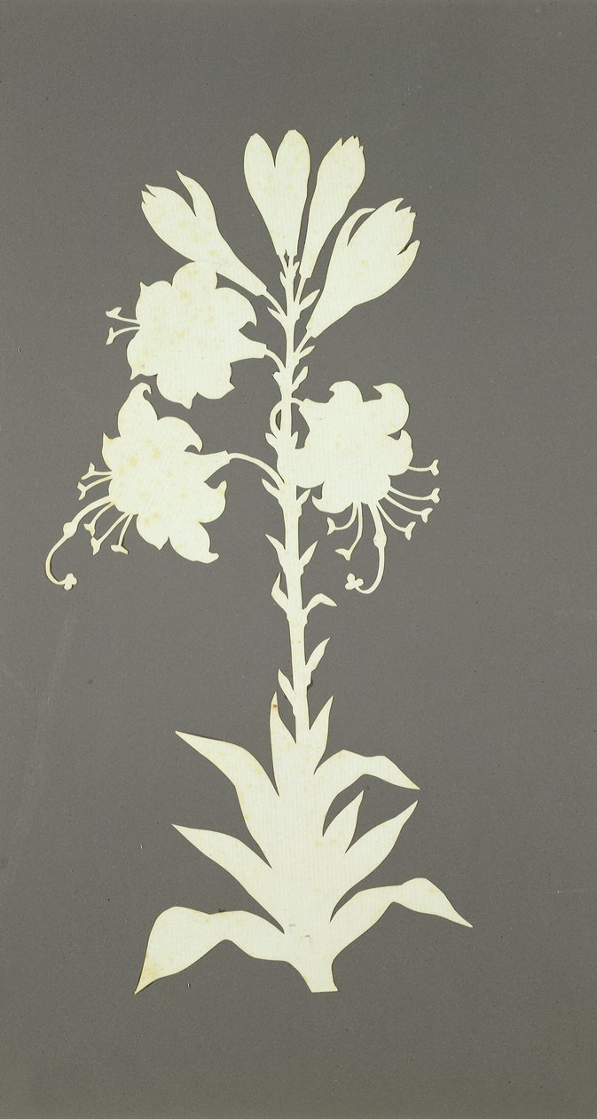 Blomma (collage på papper) av Philipp Otto Runge