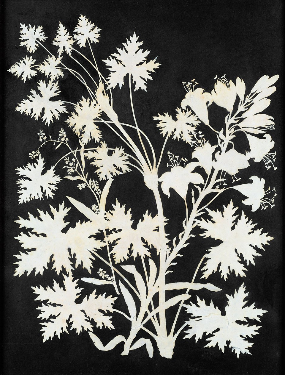 Blommor i siluett av Philipp Otto Runge