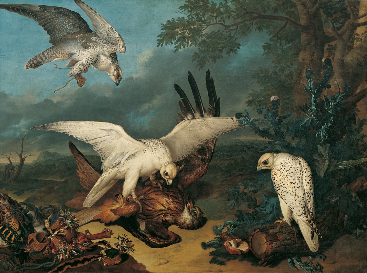 En röd drake besegrad av isländska falkar av Philipp Ferdinand de Hamilton