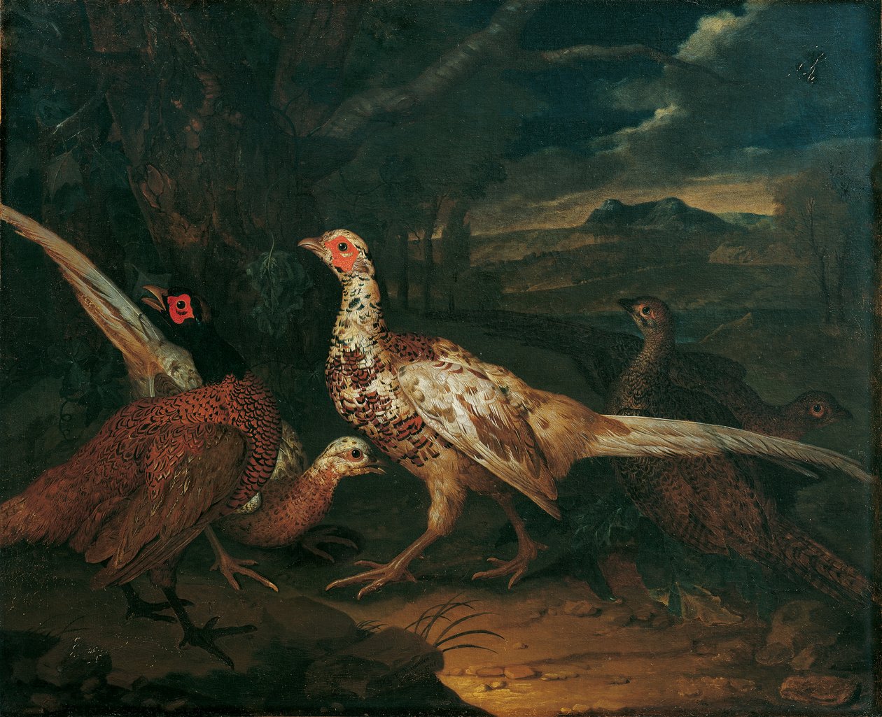 fälla av Philipp Ferdinand de Hamilton