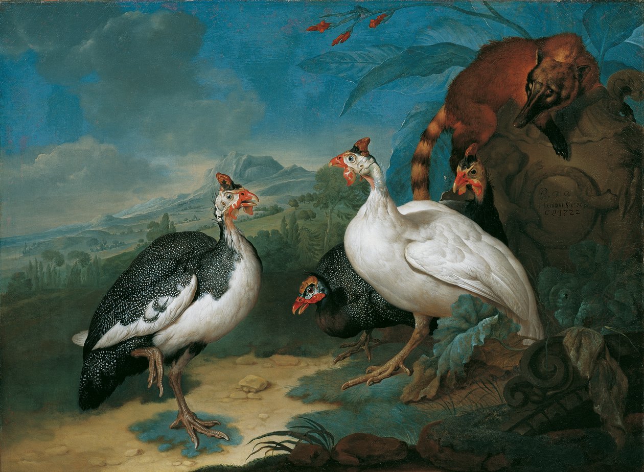 Pärlhöns och Coati av Philipp Ferdinand de Hamilton