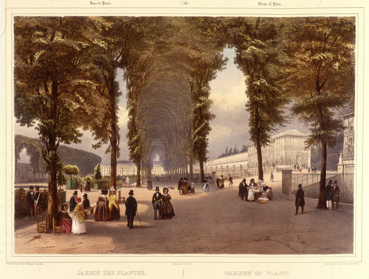 Le Jardin des Plantes - i "Promenade dans Paris et ses environs", av Jacottet och Benoist, Paris, v.1840 av Philippe Benoist